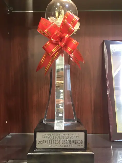 白玉兰”奖-市北高新技术服务业园区N070501单元09-03地块住办商品房项目建设监理工程9#楼